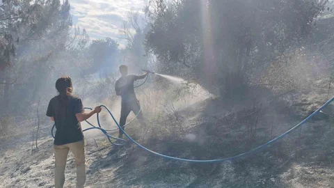 Antalya'da Orman Yangını Kontrol Altına Alındı