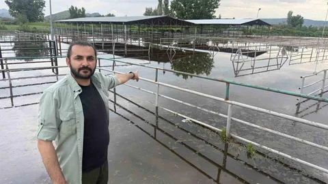 Tokat Turhal'da Hayvan Pazarı Su Baskınına Uğradı