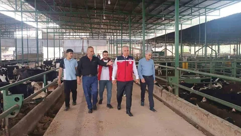 Kurban Bayramı Öncesi Hayvan Denetimleri Hatay'da Yapıldı