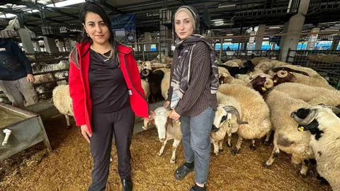 İki Kuzen Bursa'da Kurban Pazarında İlgi Çekiyor