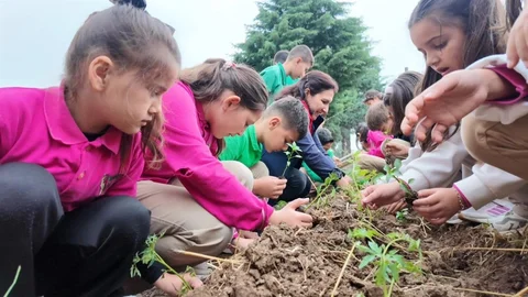 Minik Öğrenciler Fideleri Toprakla Buluşturdu