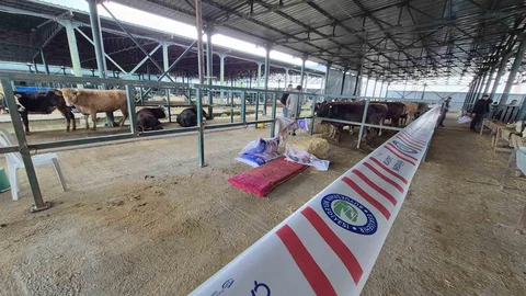Kurbanlık Satıcıları Eskişehir'de Mağdur Oldu