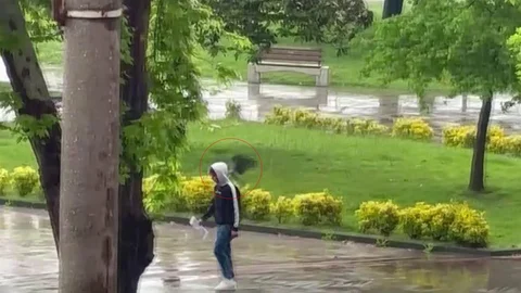 Haylaz Karga Ordu Sahilinde Eğlence Yarattı