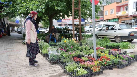 Adana'da Ata Tohumu Fidesine İlgi Artıyor