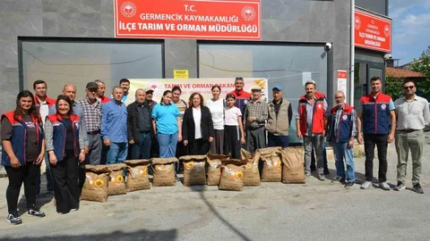 Aydın'da Tohum Desteği Devam Ediyor