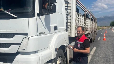 Aydın'da Kurbanlık Hayvan Kontrolleri Yapıldı