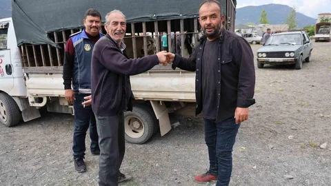 Çameli'de Kurban Bayramı Yoğunluğu