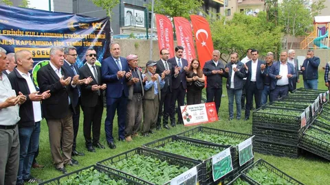 Şırnak’ta Sebze Fidesi Dağıtımı Yapıldı