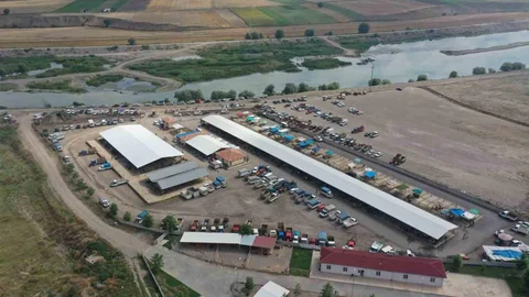 Erbaa Hayvan Pazarı Yeniden Açılıyor