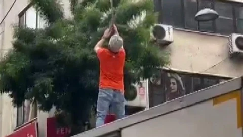 Pendik'te Elektrik Tellerine Takılan Martı Kurtarıldı