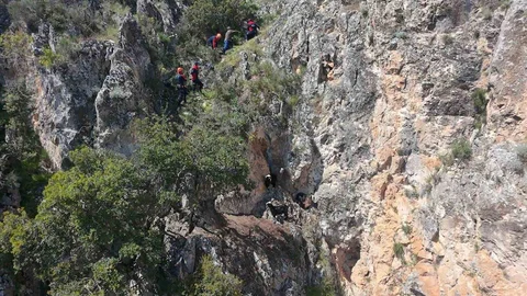 Burdur'da Mahsur Kalan Keçiler Kurtarıldı