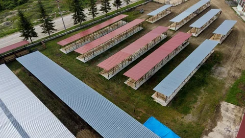 Kastamonu'da Hayvan Pazarı Düzenlendi