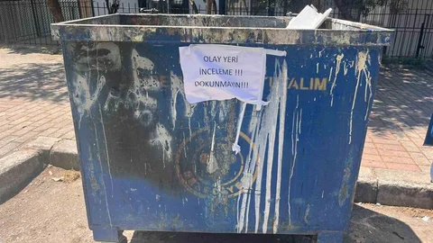İzmir'de 33 Ölü Kedi Bulundu