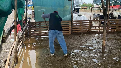 Turgutlu'da Sağanak Yağış Etkili Oldu