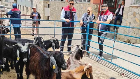 Bozdoğan'da Kurban Satış Denetimi Yapıldı