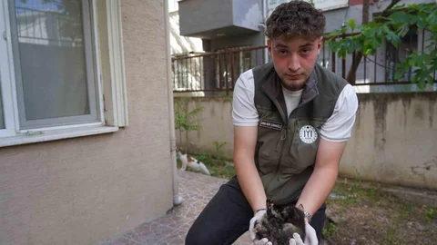 Bilecik'te Sıkışan Kedi Yavruları Kurtarıldı