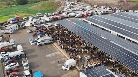İç Anadolu'da Kurban Pazarı Yoğunluğu