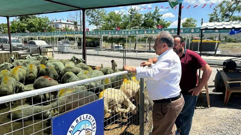 Talas'ta Kurban Pazarı Yoğun İlgi Görüyor