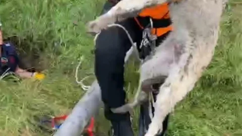 Isparta'da Foseptik Çukurundan Kurtarma Operasyonu