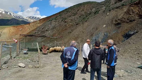 Hakkari'de Kurban Pazarı Yoğunlaştı