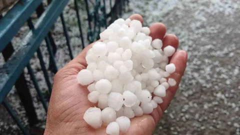 Malatya'da Dolu Zarar Verdi