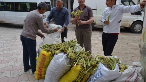 Erzincan'da Işgın Satışı Başladı