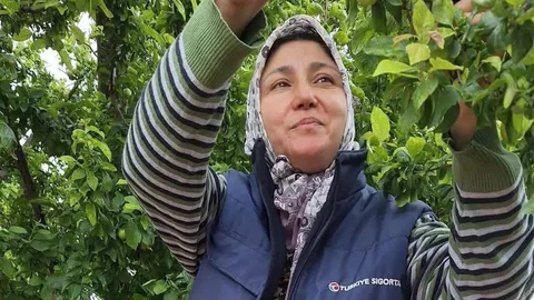 Yaz Meyveleri Üreticilerin Yüzünü Güldürdü