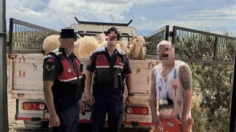Koyun Hırsızlığına Jandarma Müdahalesi