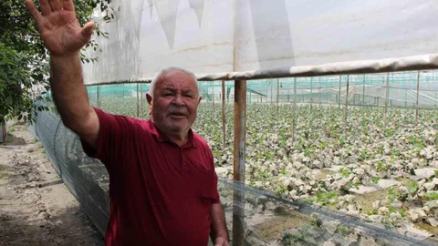 Amasya'da Çiftçilere Sel Darbesi