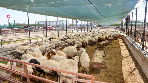 Selçuklu Bayram Hazırlıkları Tamamlandı