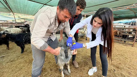 Kepez'de Kurban Denetimleri Sürüyor