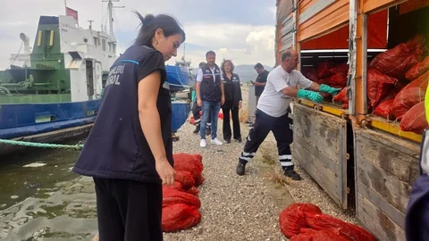 İzmir'de Kaçak Midye Operasyonu