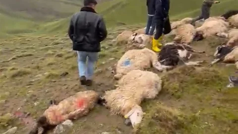 Van'da Yıldırım Düşmesi Olayı