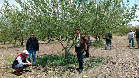 Elazığ'da Dolu Hasar Tespiti Yapıldı