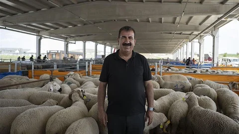 Kurban Kesiminde Dikkat Edilmesi Gerekenler
