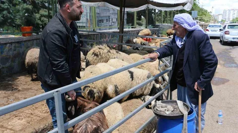 Diyarbakır Kurban Pazarında Sessizlik Hâkim