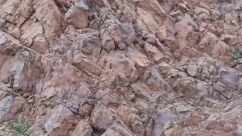 Bingöl'de Kayalıklarda Mahsur Kalan İki Kişi Kurtarıldı