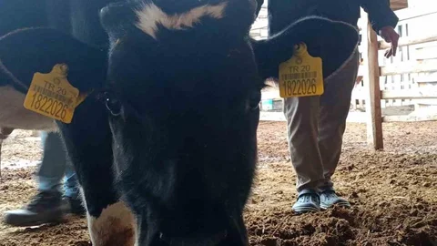 Mert'in Sağlığına Destek İçin Bağışlar Toplandı