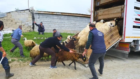 Erzincan'da Yayla Yolculuğu Başladı