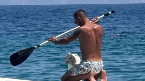 Muğla'da Kano Gezisiyle Keçi Yavrusu İlgi Çekti