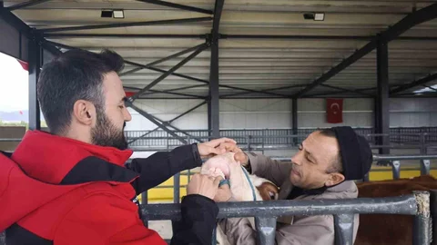 Kurbanlık Denetimleri Devam Ediyor