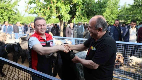 Muğla'da Kurban Pazarlarında Denetim Artıyor