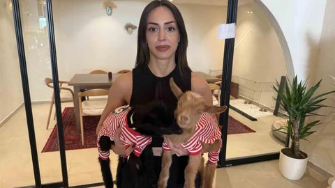 Anneleri Ölen Oğlaklara Kafe Sahibi Bakıyor