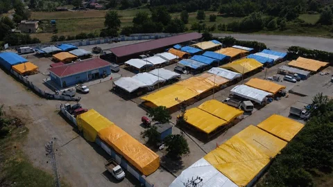 Samsun'da Besiciler Bayram İçin Umutlu