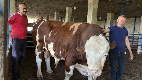Osmaniye'de Besicilikte Duygu Dolu Anlar