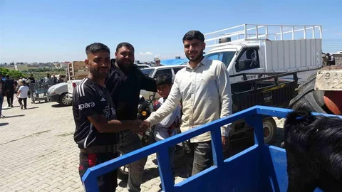 Kilis'te Kurbanlık Pazarında Hareketlilik Artıyor