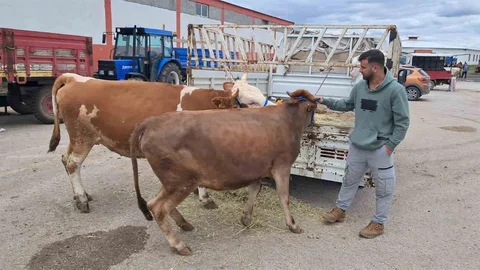 Erzurum'da Kurban Pazarı Canlandı