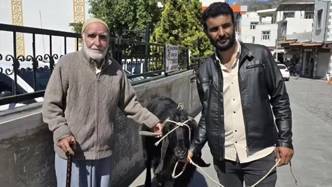 Diyarbakır'da 70 Kiloluk Keçi Satışı