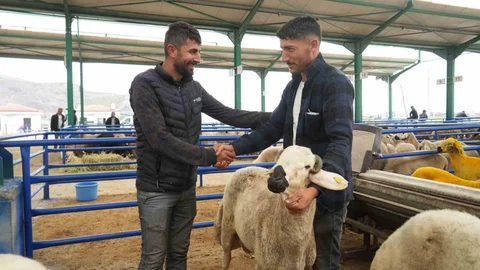 Niğde'de Kurban Bayramı Bereketi