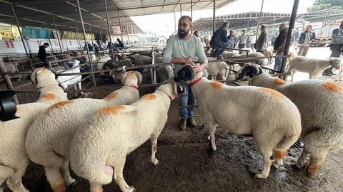 Asırlık Gelinlik Kurban Geleneği Balıkesir'de Yaşatılıyor